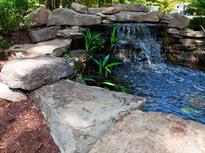 Newport News landscaping